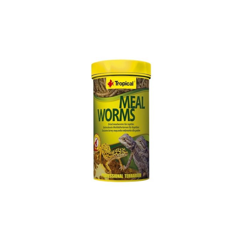 Tropical Meal Worms - suszone larwy mącznika młynarka