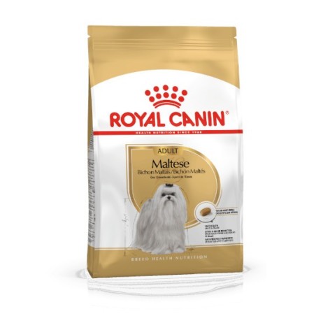 Royal Canin Maltese Adult - karma dla dorosłych psów rasy maltańczyk