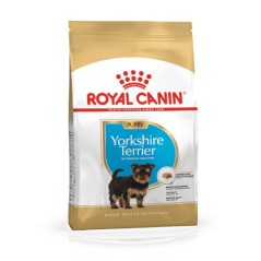 Royal Canin Yorkshire Terrier Puppy - karma dla szczeniąt