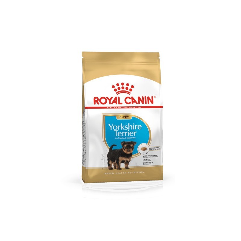 Royal Canin Yorkshire Terrier Puppy - karma dla szczeniąt