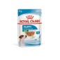 Royal Canin Mini Puppy - karma mokra dla szczeniąt małych ras 85g