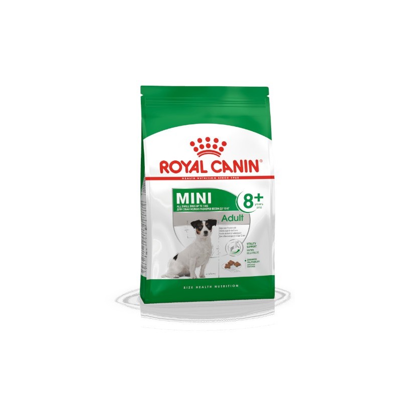 Royal Canin Mini Adult 8+ - karma sucha dla starszych psów małych ras