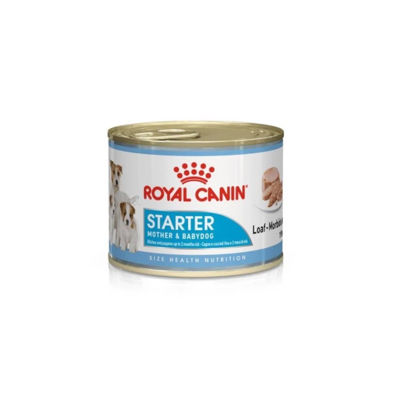 Royal Canin Starter Mother&Babydog Mousse - karma dla suk w okresie ciąży, laktacji i szczeniąt w okresie odsadzania