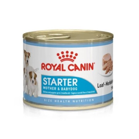 Royal Canin Starter Mother&Babydog Mousse - karma dla suk w okresie ciąży, laktacji i szczeniąt w okresie odsadzania