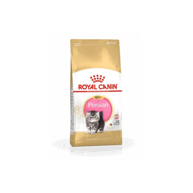 Royal Canin Kitten Persian - karma dla kociąt rasy perskiej