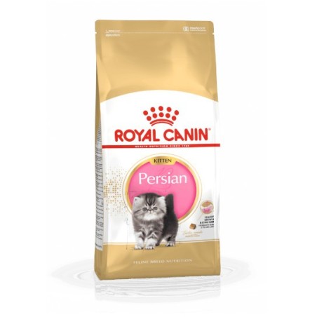 Royal Canin Kitten Persian - karma dla kociąt rasy perskiej