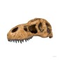 Exo-Terra T-Rex Skull Czaszka Tyranozaura - kryjówka (ozdoba) do terrarium