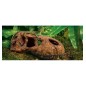 Exo-Terra T-Rex Skull Czaszka Tyranozaura - kryjówka (ozdoba) do terrarium