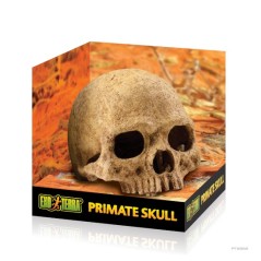 Exo-Terra Czaszka Ludzka Primate Skull (PT2855)