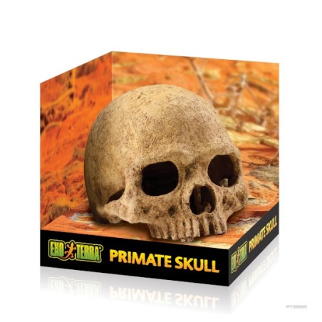 Exo-Terra Czaszka Ludzka Primate Skull (PT2855)