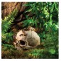 Exo-Terra Primate Skull (PT2855) Czaszka Ludzka - kryjówka, ozdoba do terrarium