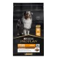 Purina Pro Plan Duo Delice Adult Karma dla psów bogata w kurczaka 10kg