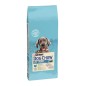 Purina Dog Chow Large Breed Puppy z indykiem 14kg