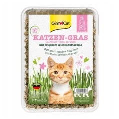 GimCat Katzen-Gras trawa dla kota w pojemniku 150g