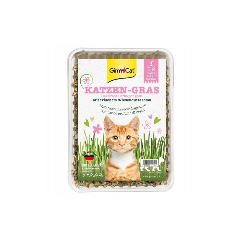 GimCat Katzen-Gras trawa dla kota w pojemniku 150g