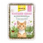 GimCat Katzen-Gras trawa dla kota w pojemniku 150g