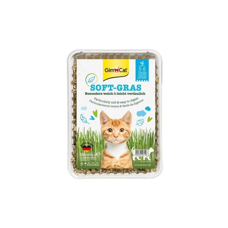 GimCat Soft-Gras trawa dla kota w pojemniku 100g