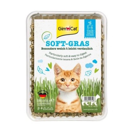 GimCat Soft-Gras trawa dla kota w pojemniku 100g