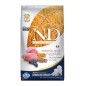 N&D Ancestral Grain Lamb, Spelt, Oats & Blueberry Puppy Medium/Maxi