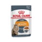 Royal Canin Intense Beauty (sos) 85g