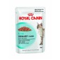 Royal Canin Urinary (sos) 85g