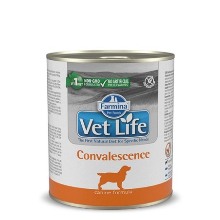 Farmina Vet Life Natural Diet Dog Convalescence 300g