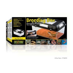 Exo-Terra Breeding Box M - box hodowlany (PT2275)