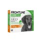 Frontline COMBO dla psów S 2-10 kg 3x0,67 ml