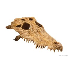 Exo-Terra Czaszka Krokodyla Crocodile Skull (PT2856)