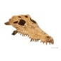 Exo-Terra Kryjówka - Czaszka Krokodyla Crocodile Skull