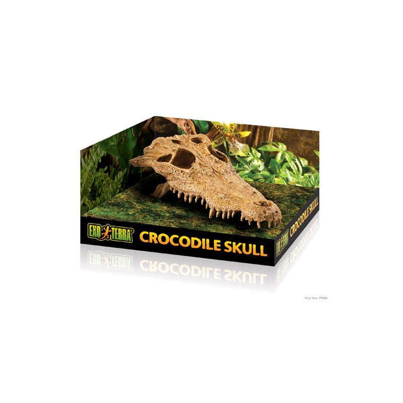 Exo-Terra Kryjówka - Czaszka Krokodyla Crocodile Skull