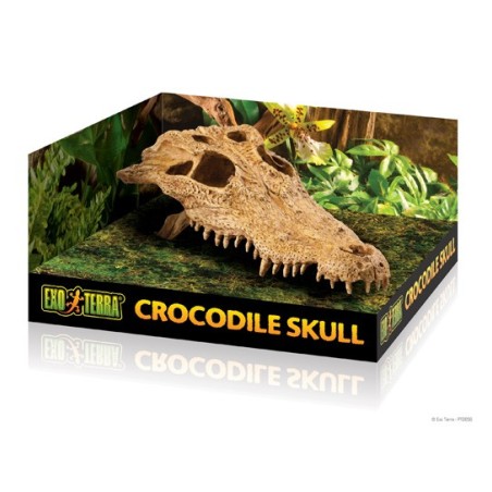 Exo-Terra Czaszka Krokodyla Crocodile Skull (PT2856)