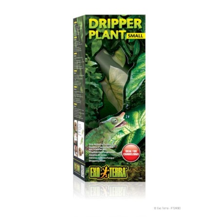 Exo-Terra Dripper Plant - roślina nawadniająca