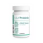 Dolfos Dolvit Probiotic /60 tabletek