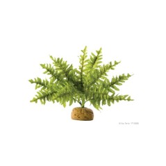 Exo-Terra Boston Fern - roślina sztuczna