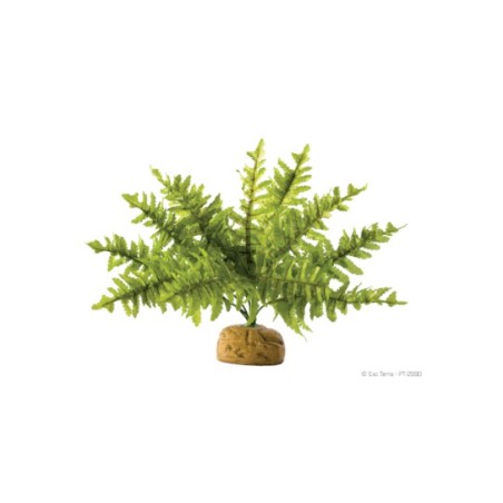 Exo-Terra Boston Fern - roślina sztuczna