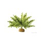 Exo-Terra Boston Fern - roślina sztuczna do terrarium