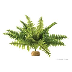 Exo-Terra Boston Fern - roślina sztuczna