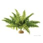 Exo-Terra Boston Fern - roślina sztuczna do terrarium