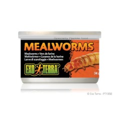 Exo-Terra Pokarm w puszce - mączniki Mealworms