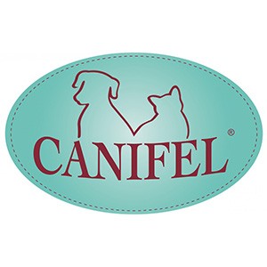 Canifel