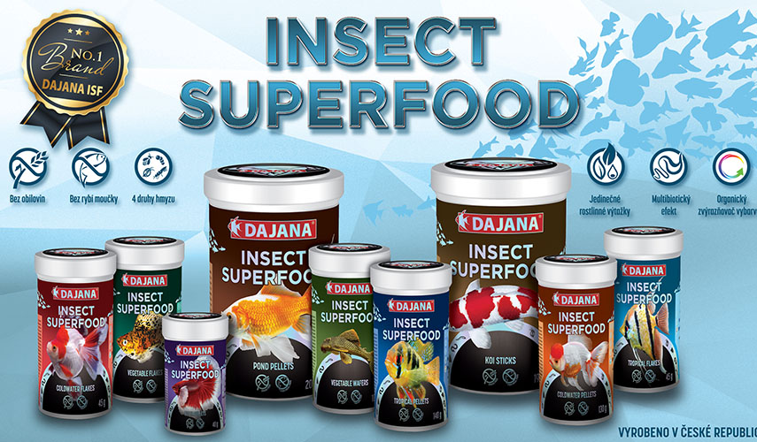 Dajana Insect Superfood